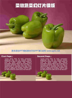 紫色菜椒背景的植物幻灯片模板.ppt[共4张]