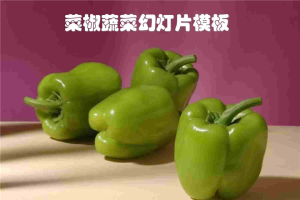 紫色菜椒背景的植物幻灯片模板.ppt[共4张]