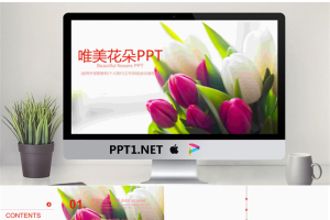 唯美郁金香鲜花背景的通用PPT模板免费.pptx[共22张]
