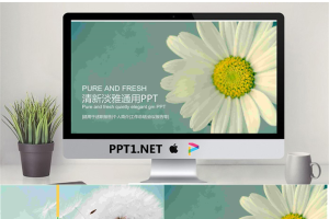 淡雅清新小花背景PPT模板.pptx[共22张]