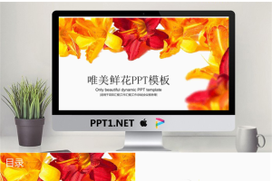 鲜艳花卉背景唯美PPT模板免费.pptx[共22张]