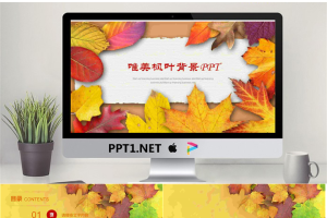 金灿灿的落叶背景PPT模板.pptx[共22张]
