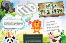 爱护动物电子小报手抄报